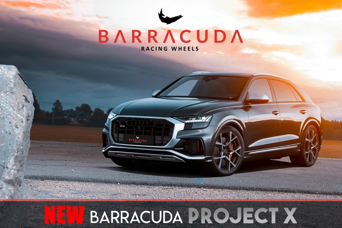 BARRACUDA 按我